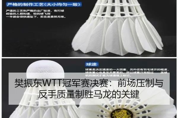 fan-zhen-dong-guan-jun-sai-jue-sai-qian-chang-ya-zhi-yu-fan-shou-zhi-liang-zhi-sheng-ma-long-de-guan-jian-2-825.jpg