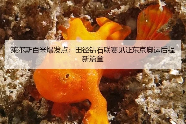 莱尔斯百米爆发点：田径钻石联赛见证东京奥运后程新篇章