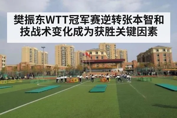 樊振东WTT冠军赛逆转张本智和技战术变化成为获胜关键因素