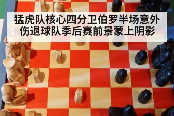 猛虎队核心四分卫伯罗半场意外伤退球队季后赛前景蒙上阴影
