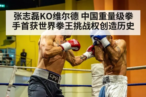 张志磊KO维尔德 中国重量级拳手首获世界拳王挑战权创造历史